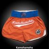 Fudoshin Shorts Photo 7