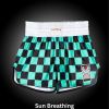 Fudoshin Shorts Photo 17