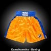 Fudoshin Shorts Photo 24